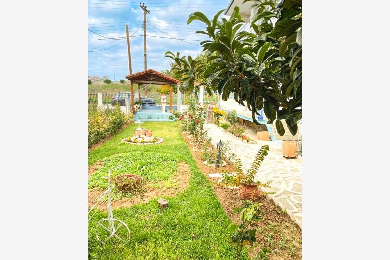 Vila Hrisa-Hellena travel (2)