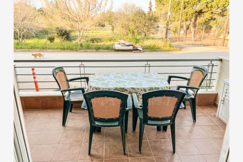 Vila Hrisa-Hellena travel (2)