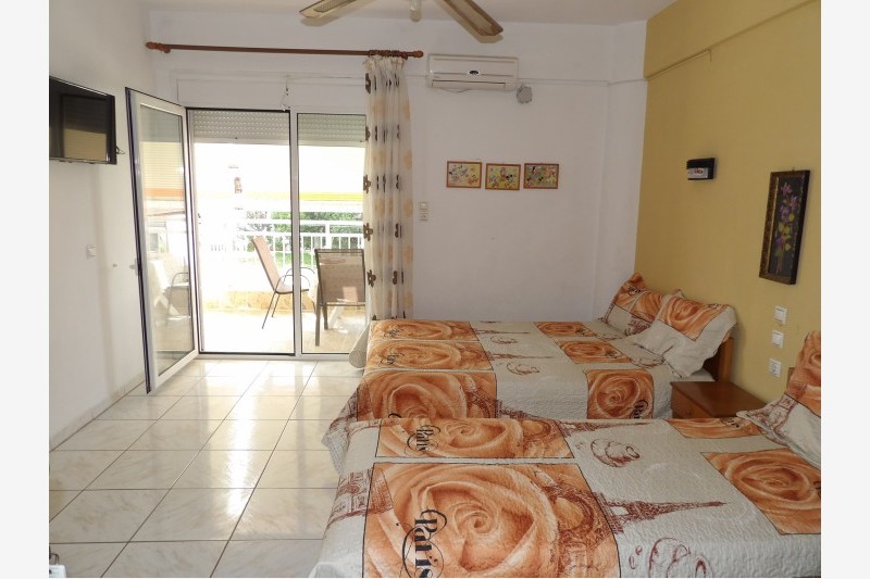Vila Hrisa-Hellena travel (2)