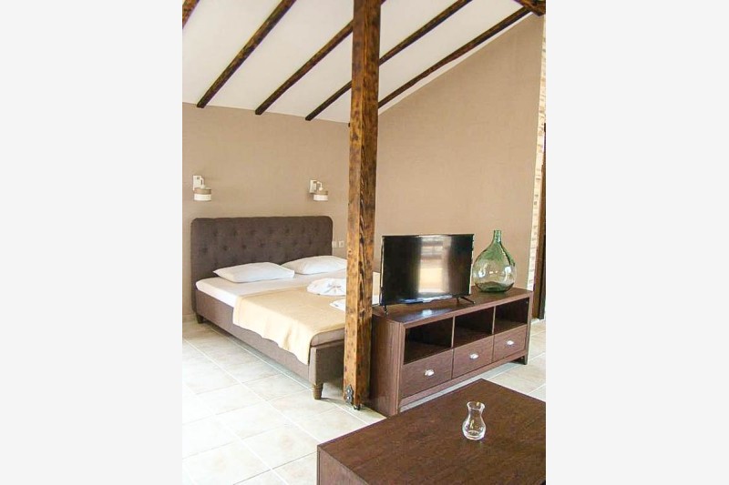 Vila Hrisa-Hellena travel (2)